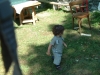 dscf0133